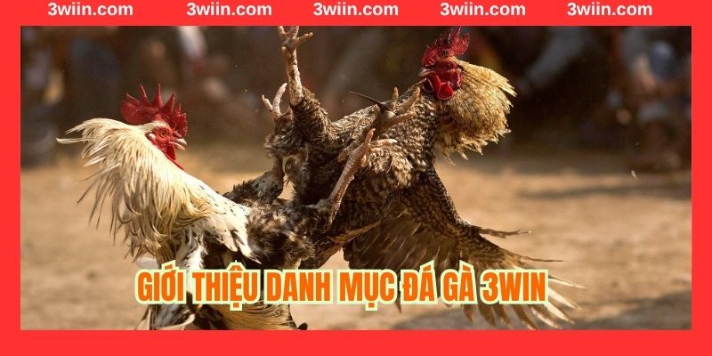 Giới thiệu danh mục